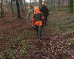Nyjægerjagt i Rold skov